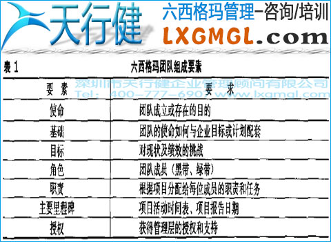 六西格瑪團隊組成要素 六西格瑪管理項目團隊的組建和授權
