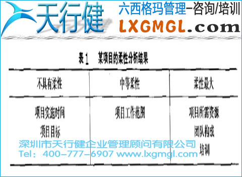 某項目的柔性分析結果 六西格瑪項目監控措施和方法
