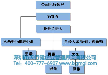 六西格瑪管理的組織團隊 如何建立持續(xù)推進六西格瑪管理的組織機構(gòu)