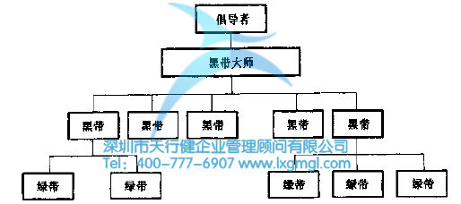 六西格瑪管理的組織圖 六西格瑪組織結(jié)構(gòu)及團(tuán)隊成員的作用