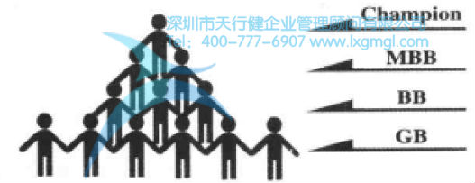 六西格瑪團(tuán)隊組成成員 六西格瑪組織結(jié)構(gòu)及團(tuán)隊成員的作用