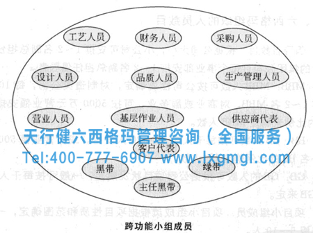 跨功能小組成員 六西格瑪項目人員組織的分布、結構和職位資歷要求