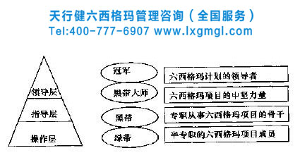六西格瑪團隊 六西格瑪管理團隊組織模式創(chuàng)新