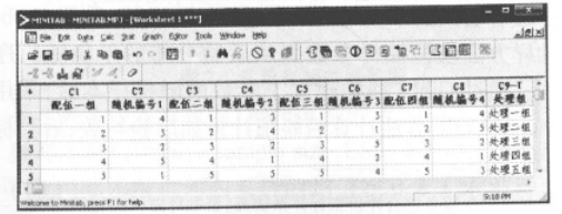 Minitab工作表窗口按配伍組隨機產生的編號 Minitab快速實現實驗對象的隨機分組