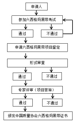 2021年度中國質量協會六西格瑪黑帶項目 2021年度中國質量協會六西格瑪黑帶項目