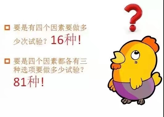 1629770622642851.jpg 基于DOE試驗(yàn)設(shè)計(jì)科學(xué)養(yǎng)雞