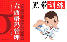 六西格瑪黑帶全套經(jīng)典培訓PDF課程下載