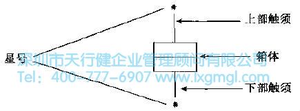 箱圖的一般結構 如何進行結構樹與箱圖分析