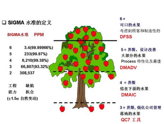 6 sigma管理實施基本的持續改進戰略