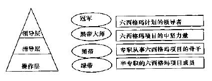 六西格瑪管理團隊組織模式創(chuàng)新